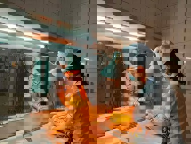 Hình ảnh chi tiết tin tức Bố mẹ cùng mang gen bệnh tan máu bẩm sinh có sinh con khoẻ mạnh? Hình ảnh tin tức Bố mẹ cùng mang gen bệnh tan máu bẩm sinh có sinh con khoẻ mạnh?