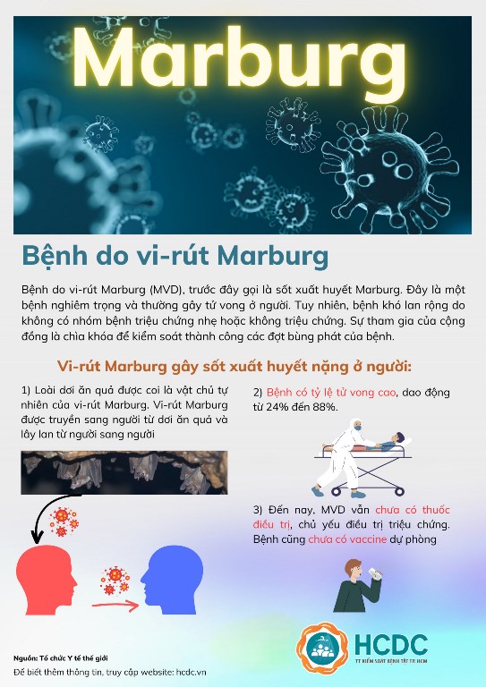 Hình ảnh tin tức Bệnh do vi-rút Marburg