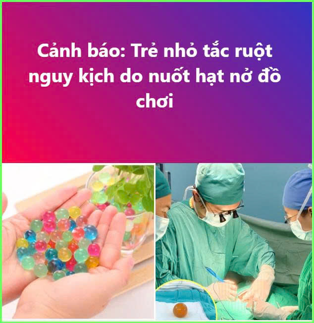 Hình ảnh tin tức CẢNH BÁO MỐI NGUY HIỂM TỪ HẠT NỞ ĐỐI VỚI TRẺ NHỎ ⚠️
